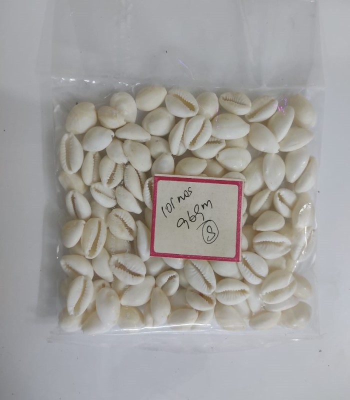 Cowry Sea Shells / Sozhi / Chozhi - White (Small - 101Nos)