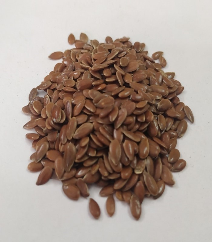 Cotton Seeds (raw) / Paruthi vidhai