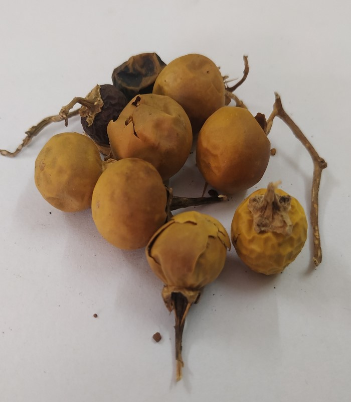 Winter Cherry Dried Root (raw) / Amukkara Kilangu