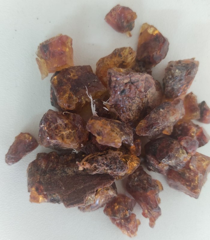 Yanai Thippili / Indian Long Pepper Dried (raw)