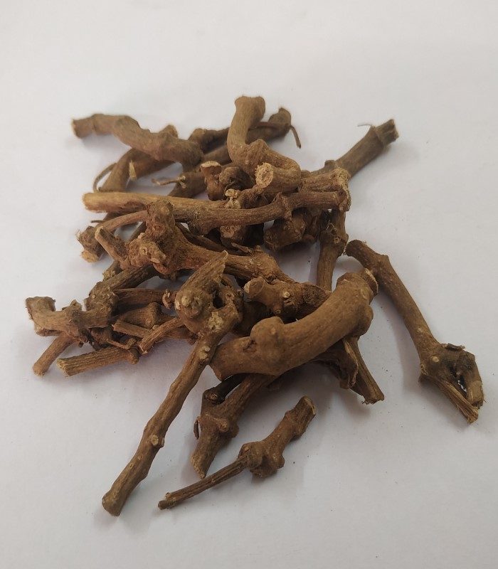 Coleus Vettiveroides Root (raw) / Vetiver