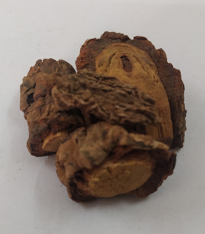 Paneer Poo / Indian Rennet Flower Dried (Raw)