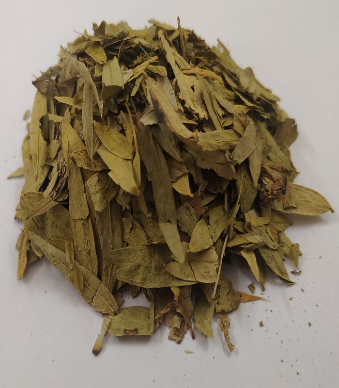 Nilavarai / Senna Dried Leaves (raw)