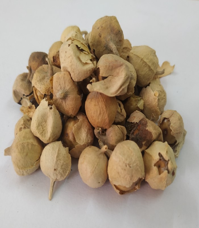 Indian Rennet Flower Dried (Raw) / Paneer Poo