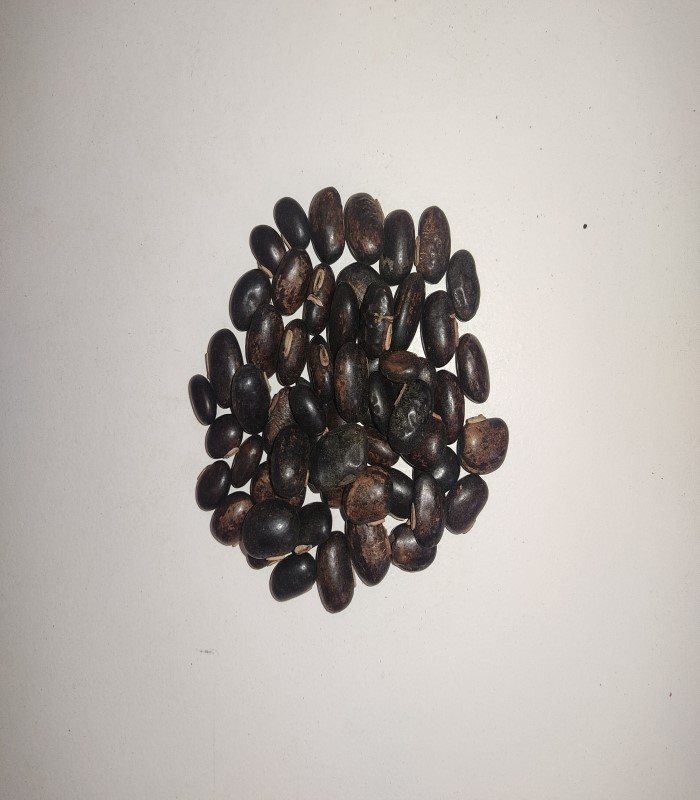 Velvet Bean Dried Seed (Raw) / Poonaikali 
