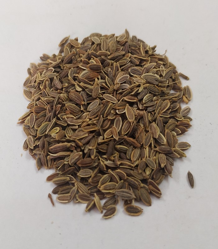 Dill Seed Dried (raw) / Sathakuppai