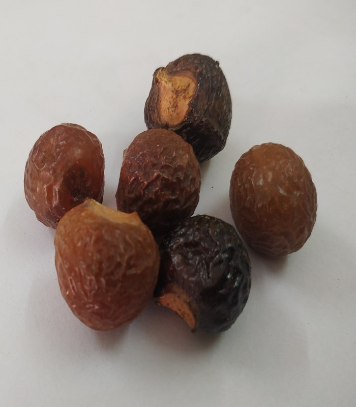 Almond Tree Gum / Badam Pisin