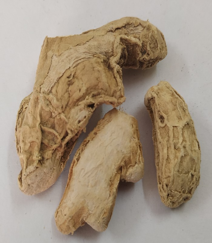 Clearing Nut Dried (raw) / Thetran Kottai