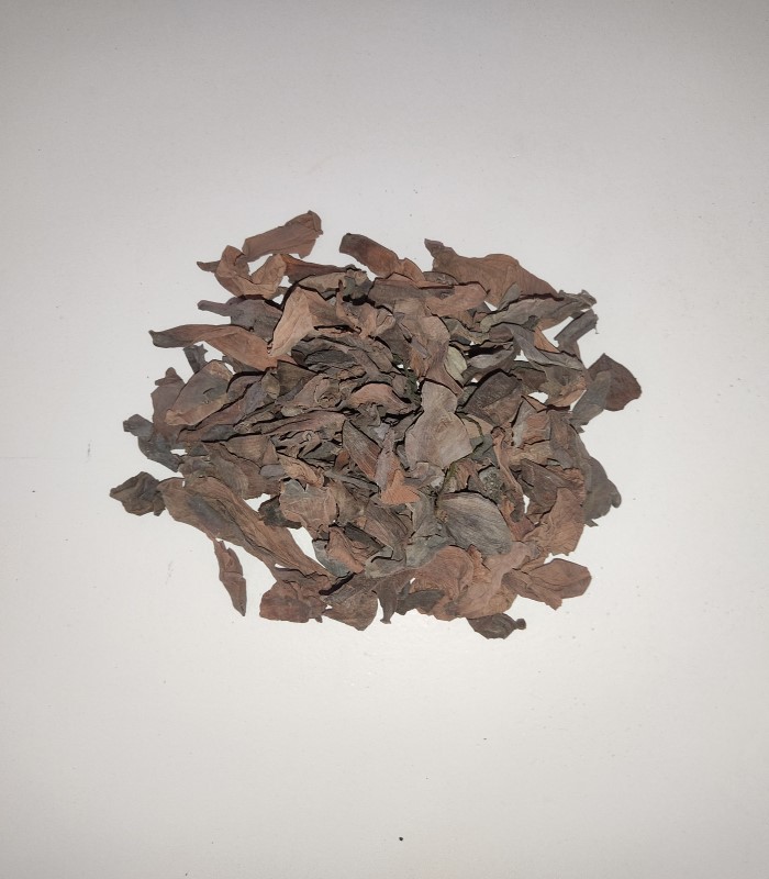 Indian Lotus Dried (Raw) / Thamarai Poo