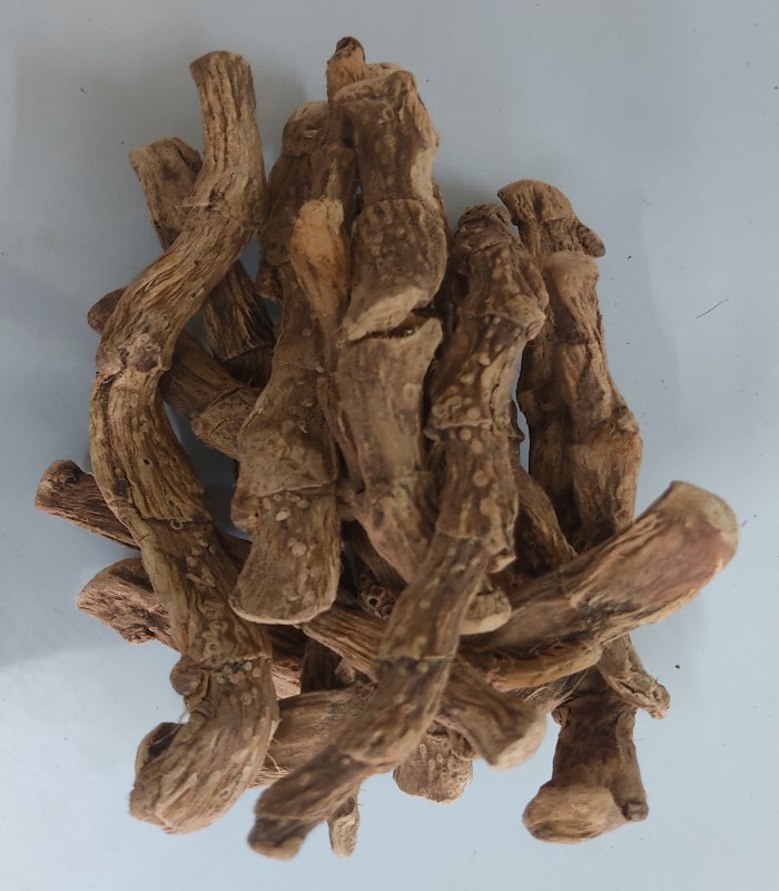 Calamus / Sweet Flag Dried (Raw) / Vasambu 
