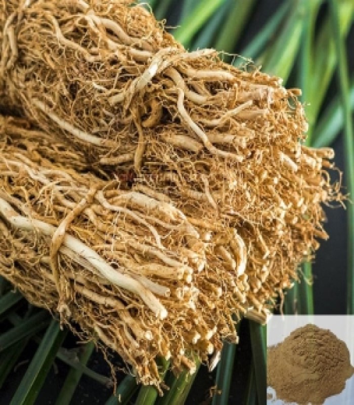 Indian Sarsaparilla Root Dried (raw) / Nannari