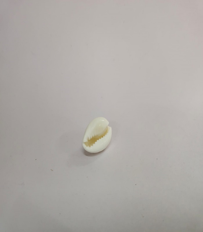 White Sozhi ( 21 nos )